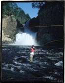 Trout fishing in the most beautiful rivers of southern Chile.